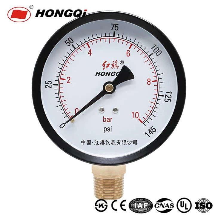 Hongqi 10bar / 145psi Manometer