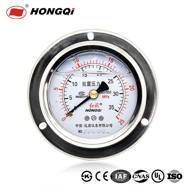 Shockproof Back Mount Nrog Flange Pressure Gauge