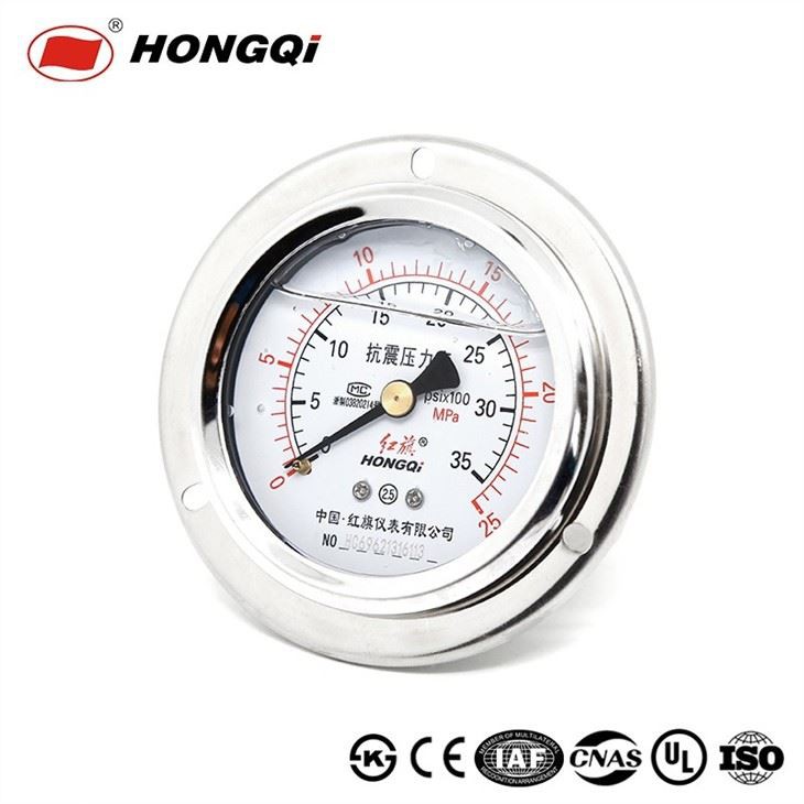 Shockproof Back Mount With Flange Pressure Gauge