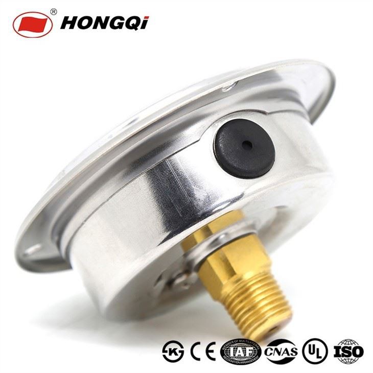 Shockproof Back Mount With Flange Pressure Gauge