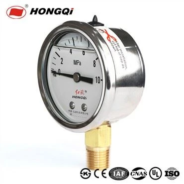 Caw Resistance Pressure Gauge Sau Nrog Silicic Roj