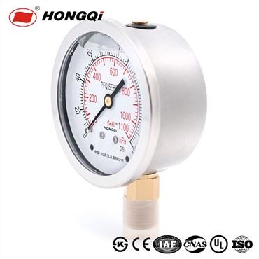 SS Roj puv Shockproof Pressure Gauge