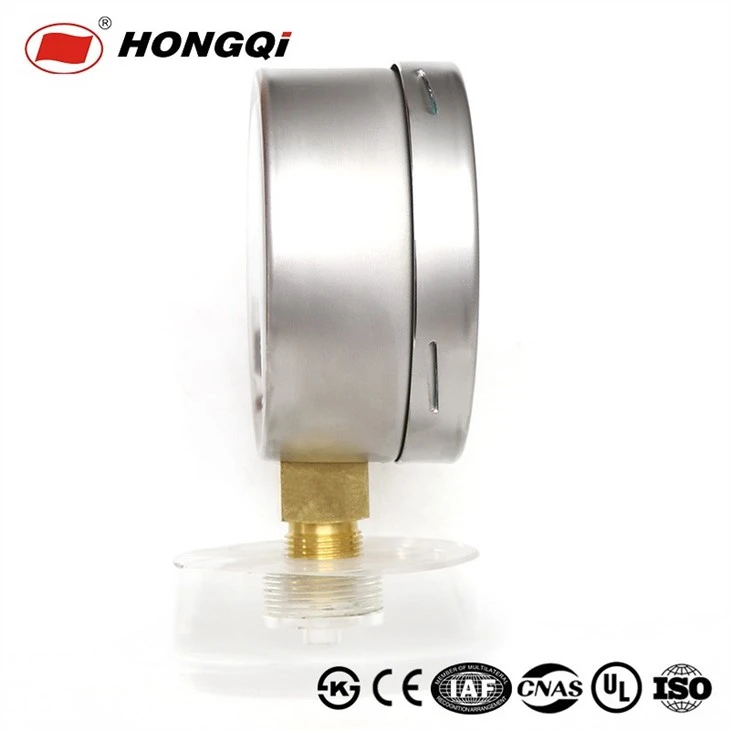 YE-100 High Precision Capsule Pressure Gauge