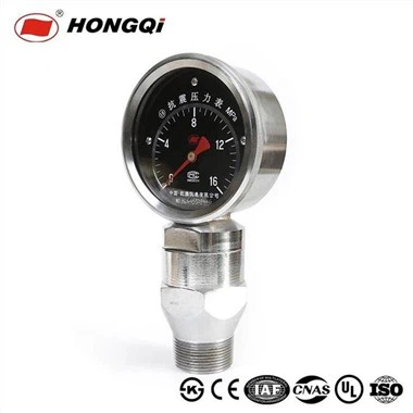 Lub Vibration -resistant Slurry Pressure Gauge